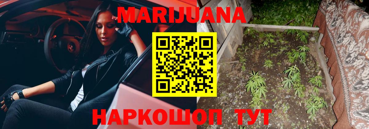 Конопля Bruce Banner  Бошки марихуана планчик  Вход с VPN  Бошки Шишки Ganja  Кимры 